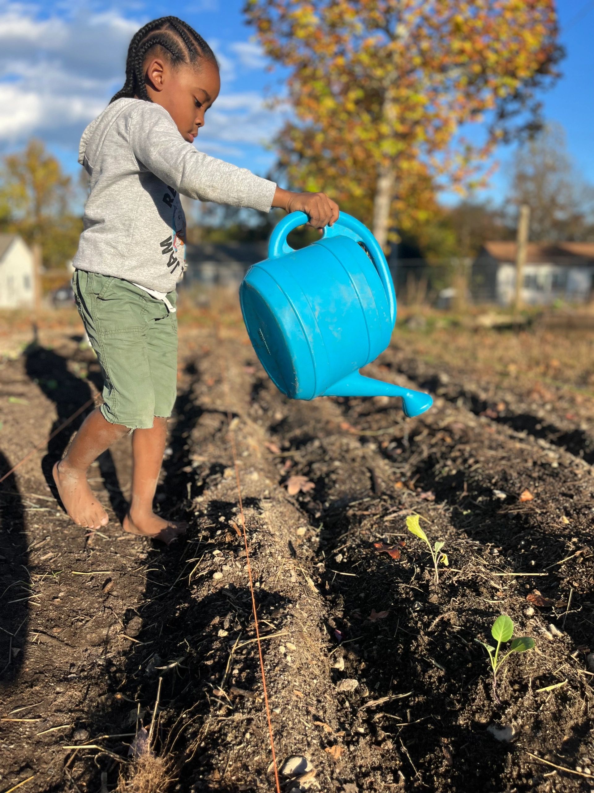How 2 Survive in The Food Desert: Cultivating Resilience