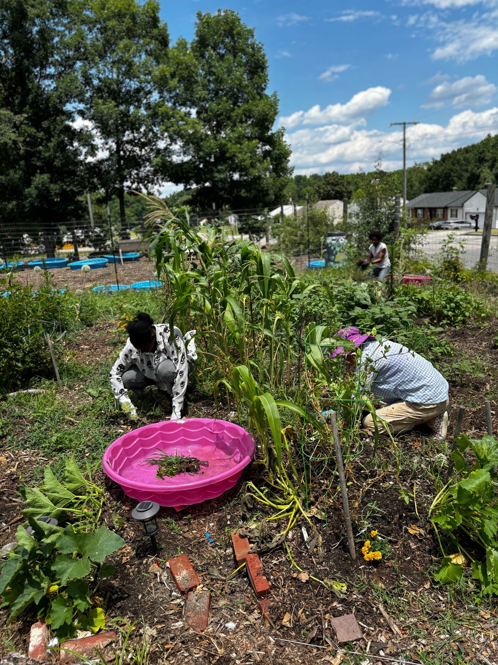 Light Workers & commUNITY advocates, Aimee Joyaux(pink hat) & Jeremiah Macon, investing energy in the Papa Kelley Vegetable Garden at the Petersburg Oasis Youth Farm 