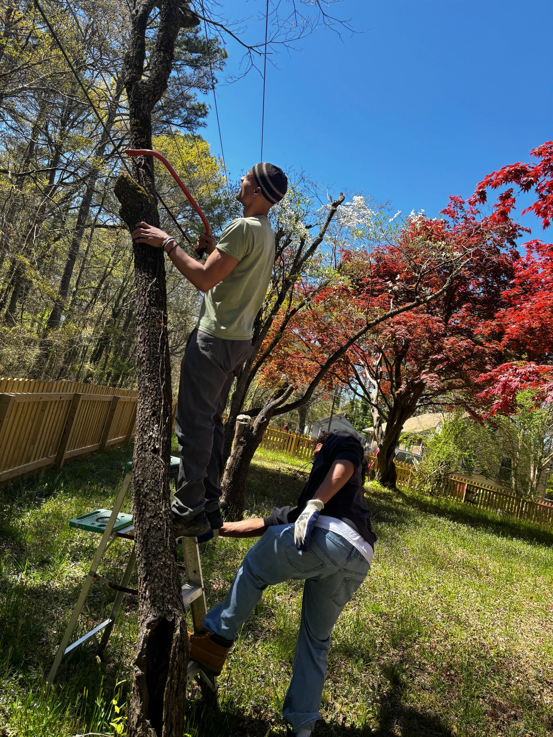Local teen & Light Worker, Kaesho, helping a farm neighbor with pruning a tree in his yard