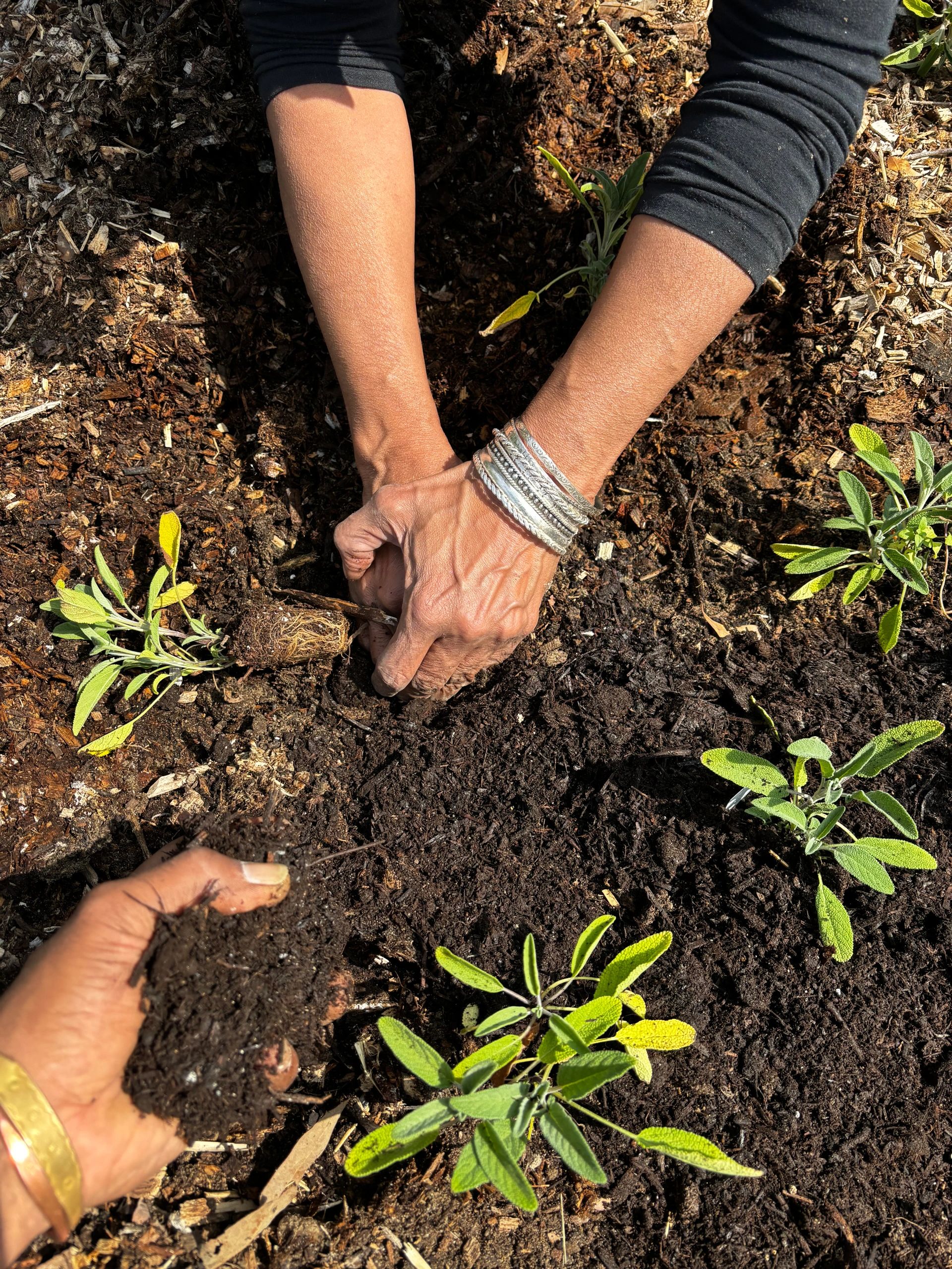 “Many Hands 4 Light Work” is Cultivating CommUNITY in Petersburg