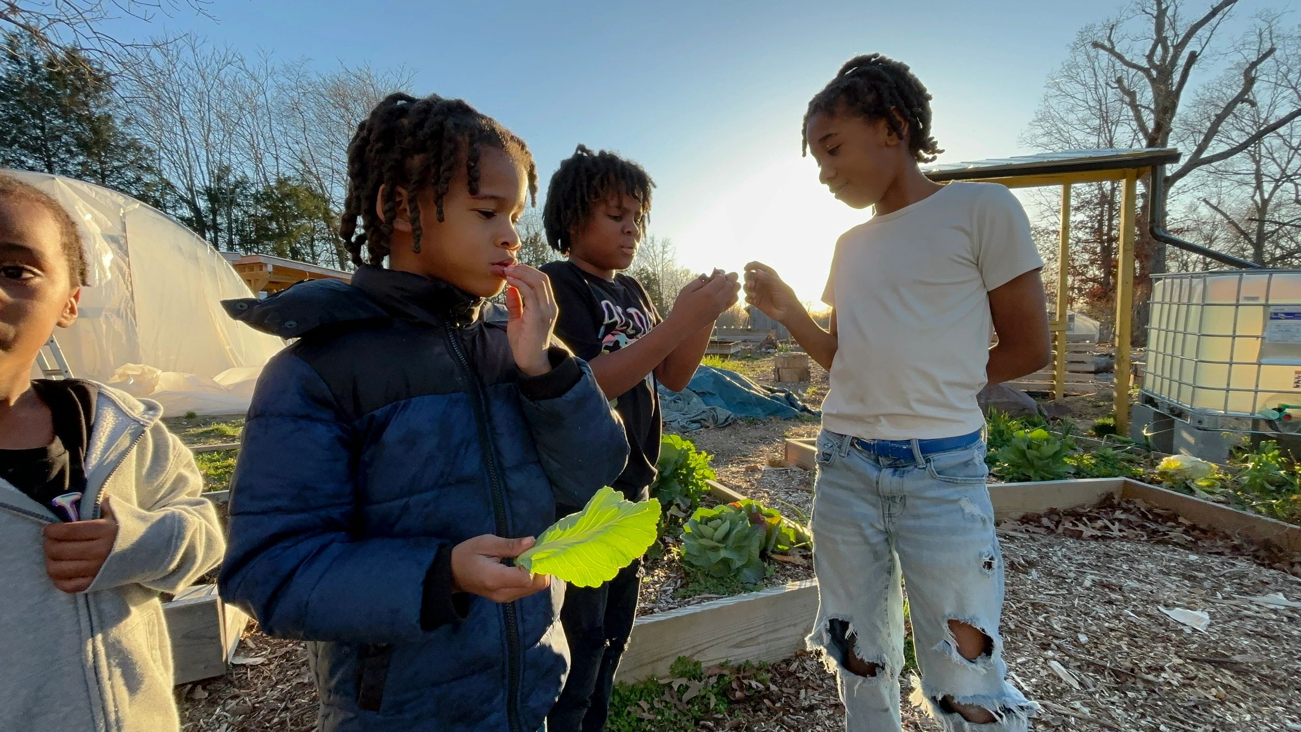Local youth and neighbors of the Petersburg Oasis Youth Farm, enJOYing some fruits of their labor (lettuce)
