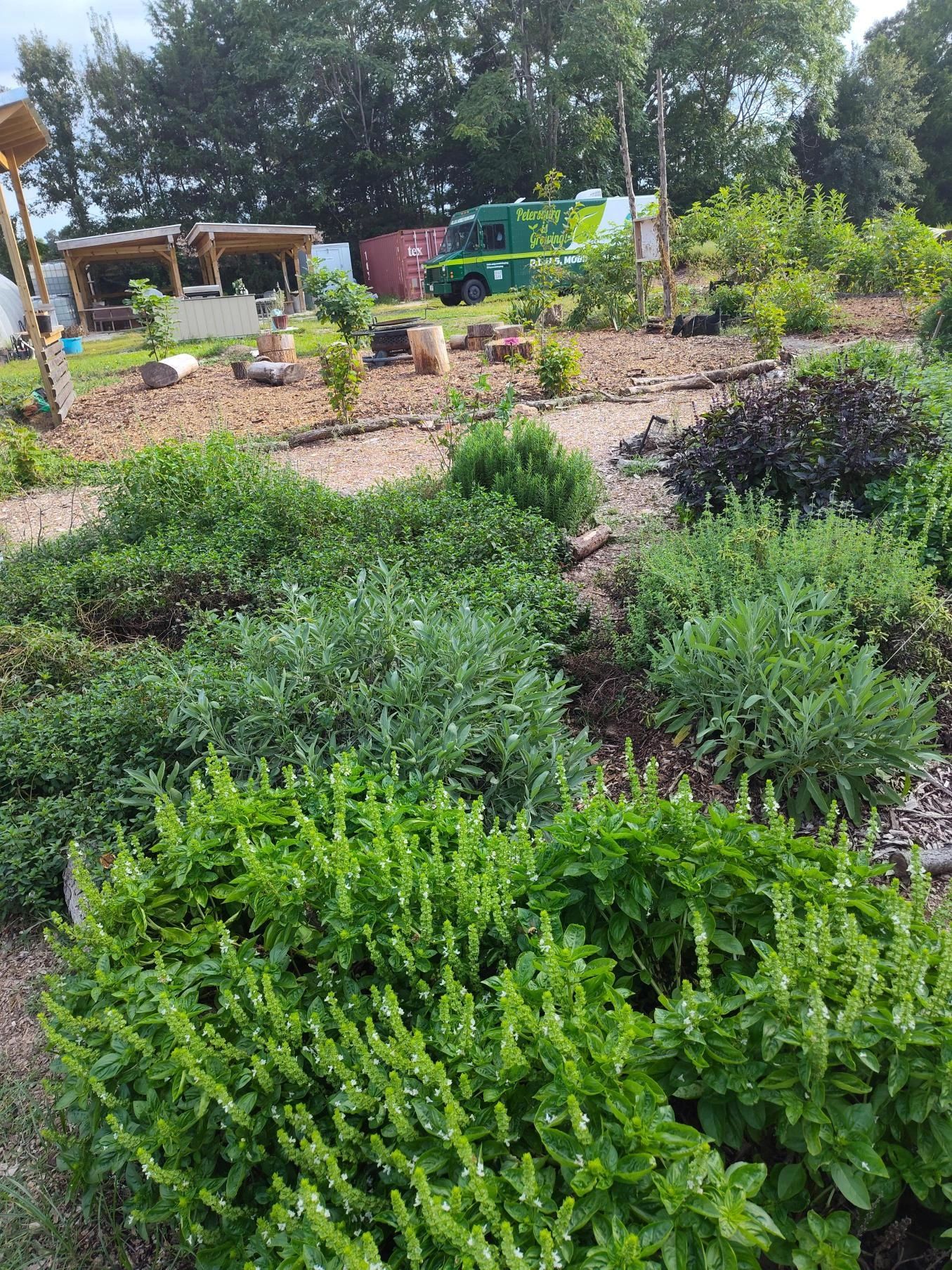 Petersburg Oasis Youth Farm