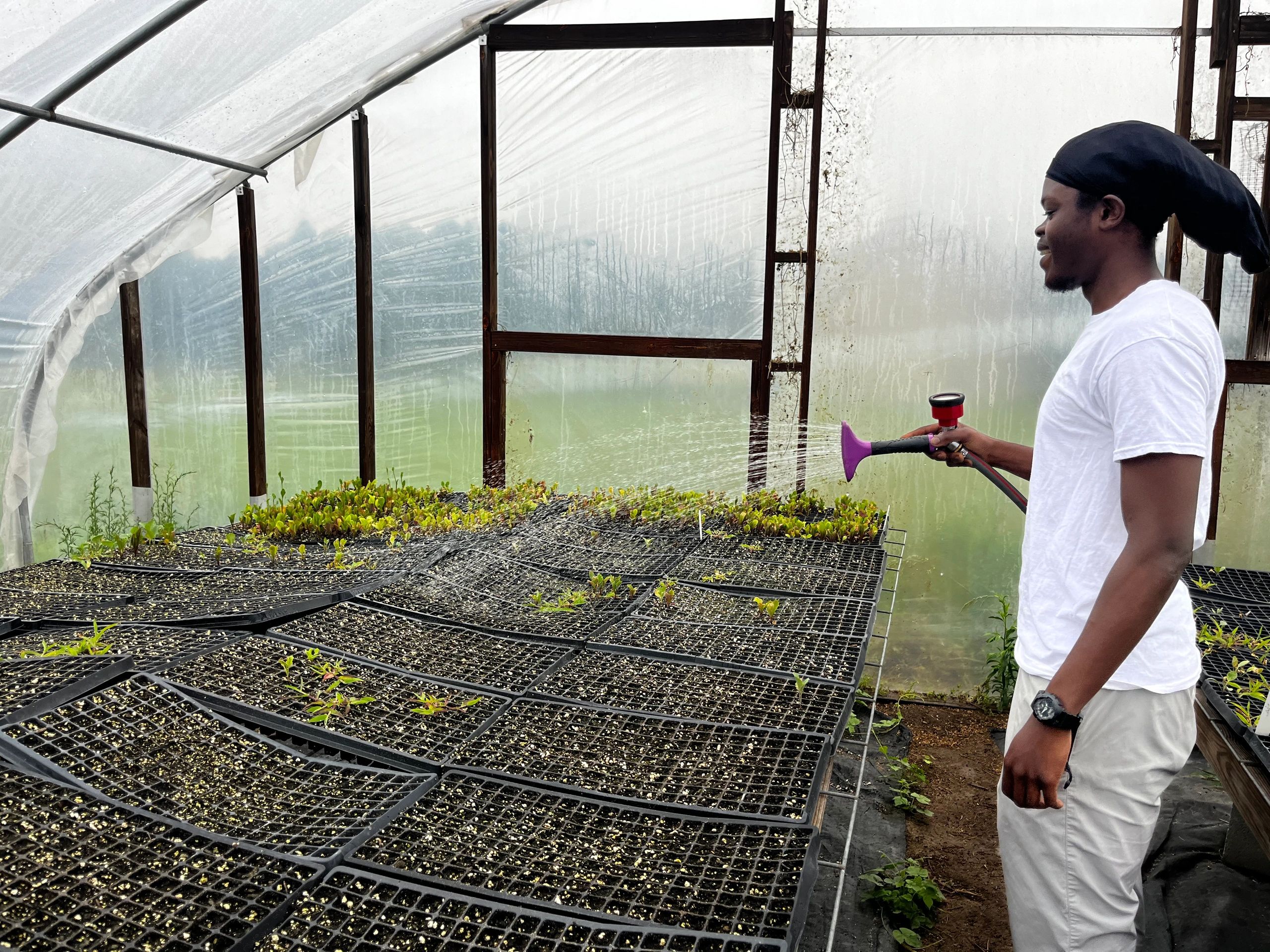 Petersburg resident & owner of Good Kemadede, Jay Baines, watering starter plants at a local farm in Dinwiddie, VA