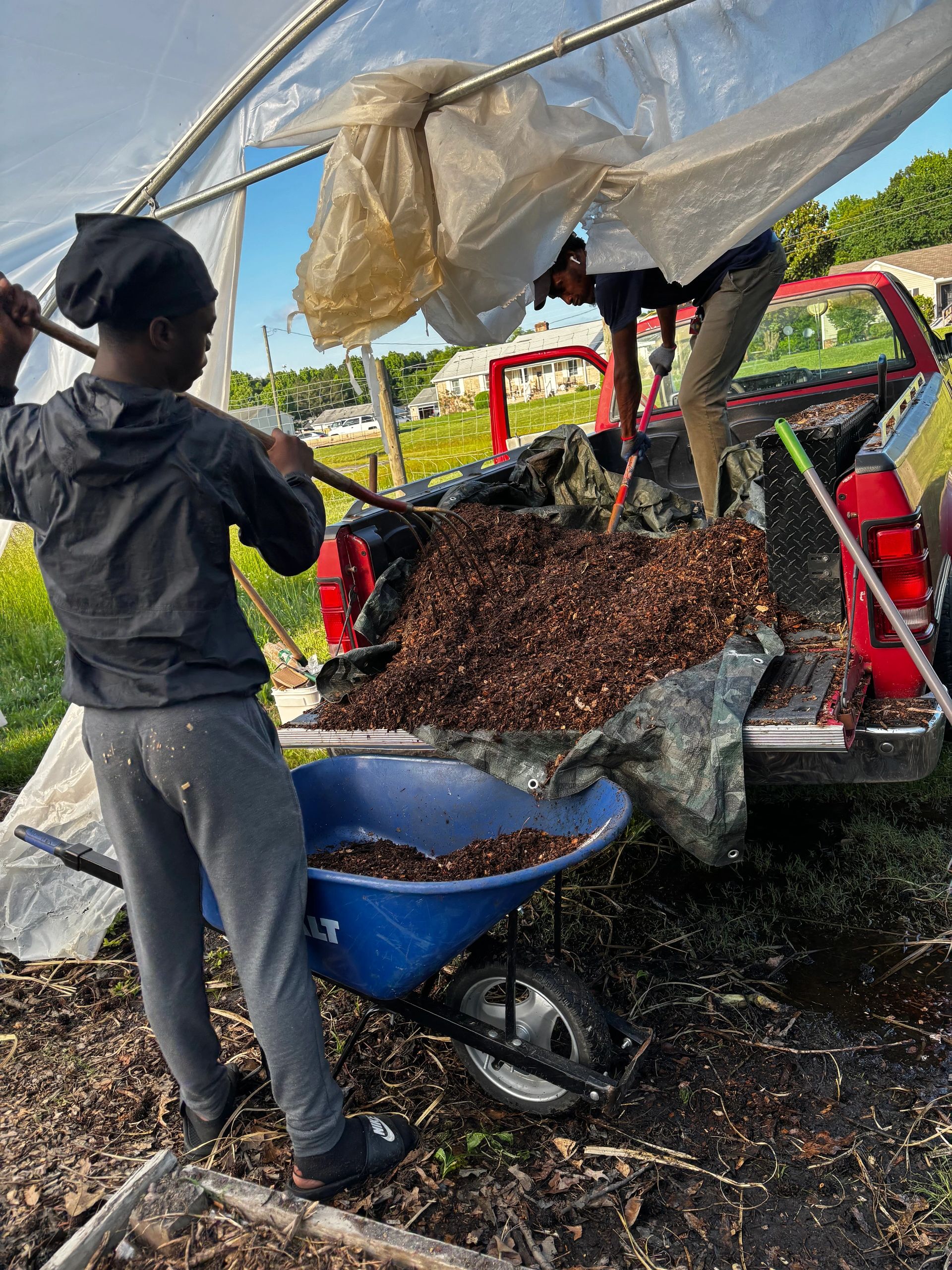 Transforming Lives of Local Teens:From Gang Culture 2 Agriculture